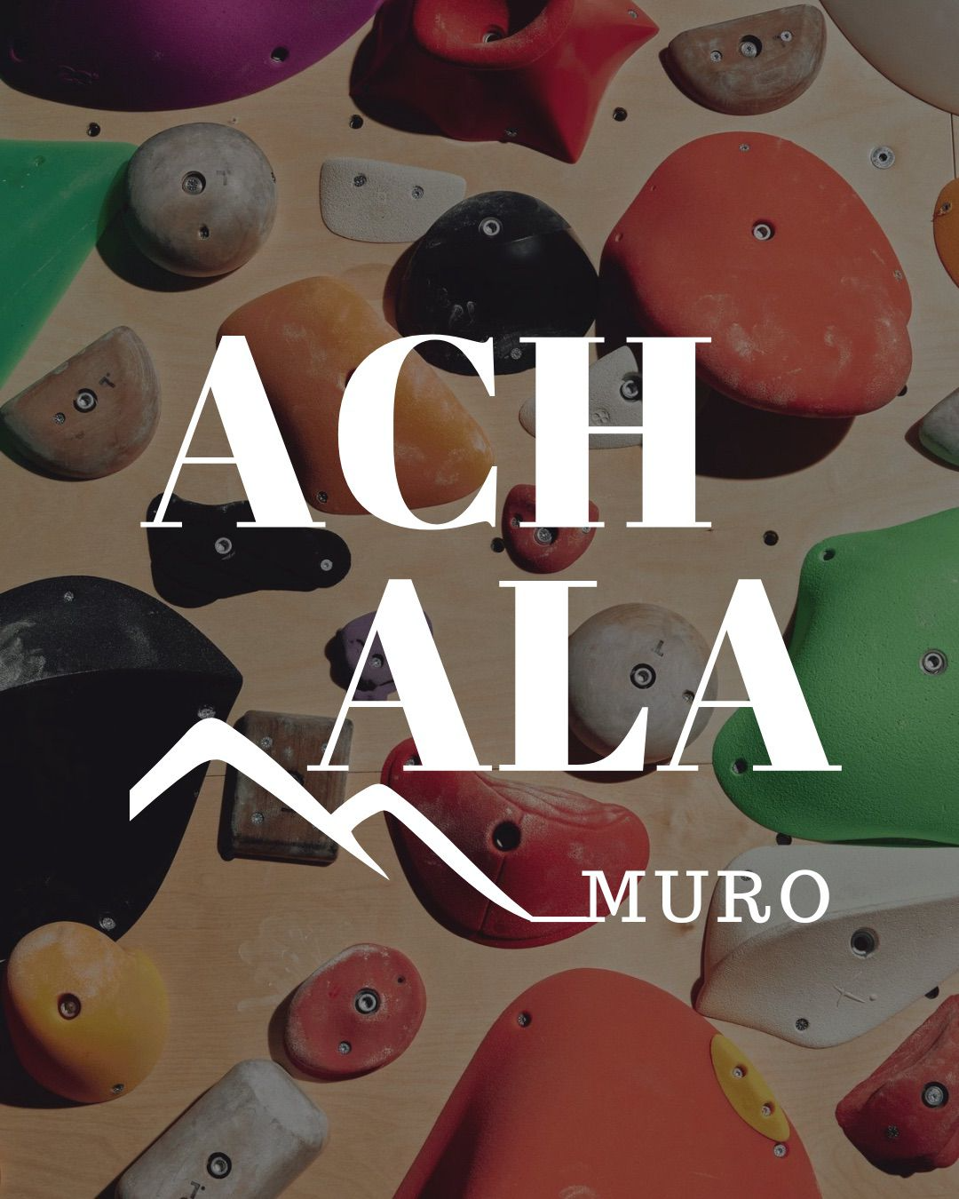 Achala Muro de Escalada